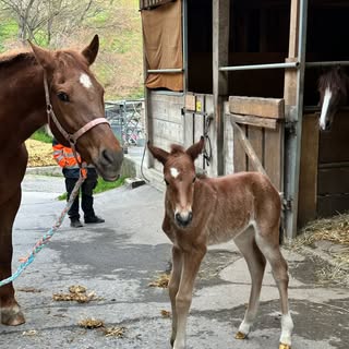 Profile Picture of Daniel Riesen (@riesen_daniel) on Instagram