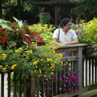 Profile Picture of Manjula Subramanian (@manjula-subramanian) on Quora