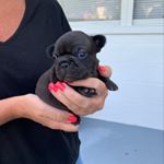 Profile Picture of Julie Charbonneau (@charbonneau526) on Instagram