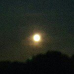 Profile Picture of paul_flies_ (@paul_flies_) on Instagram