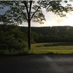 Profile Picture of Lillian Maresco (@lhm.photography) on Instagram