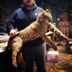 Profile Picture of James Durkee (@durkjd) on Instagram