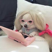 Profile Picture of Phyllis Hines Wilcox (@phyllis-hines-wilcox) on Quora