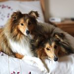 Profile Picture of Martin Finnerty (@martin.finnerty.50159) on Instagram