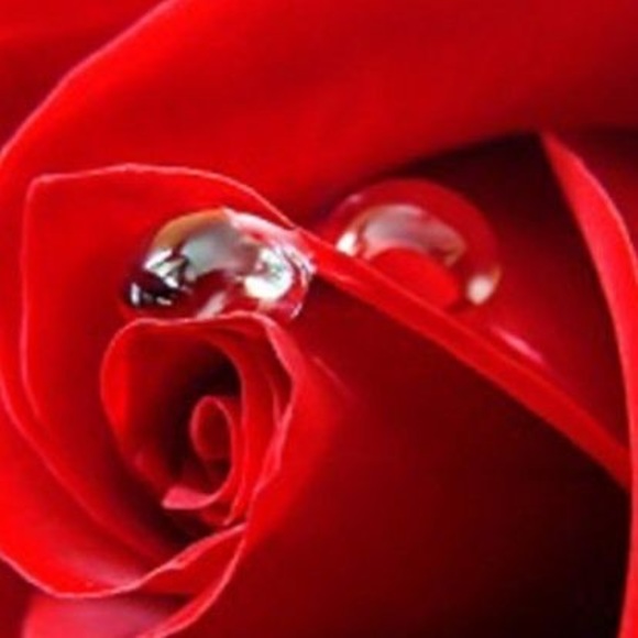 Profile Picture of Roxanne Nesmith-lowery (@nesmithfox) on Poshmark