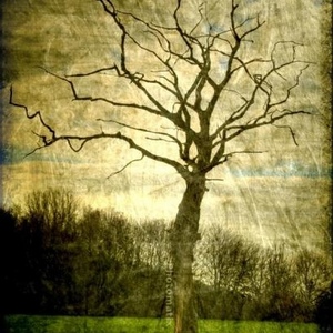 Profile Picture of Joey Mantilla (@jm_jh_metalhead_mania) on Myspace