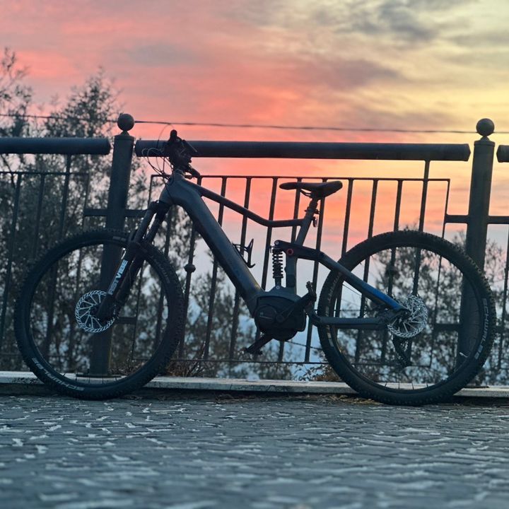 Profile Picture of Davide Facchini (@davide.facchini) on Tiktok