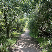 Profile Picture of Cameron Adamson (@Cam_PlayCricket) on Youtube