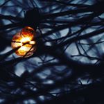 Nicholas Robert Brown - Instagram Profile Picture of Nicholas Robert Brown (@nicholasrobertbrown) on Instagram