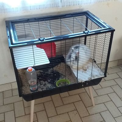 Profile Picture of Moulin Jonathan (@MoulinJonathan7) on Twitter