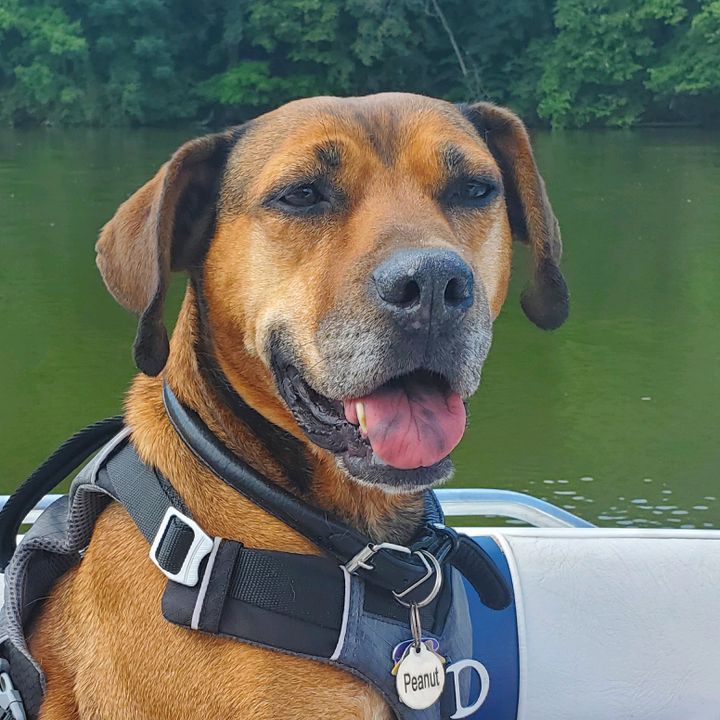 Profile Picture of Peanuts (@juliaonoria) on Tiktok