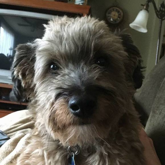 Profile Picture of Jenny Rosengren (@jjflash92) on Poshmark