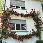 Nadia Adly - Instagram Profile Picture of Nadia Adly (@nadiaadly147) on Instagram