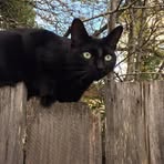 Nancy Joy Brenner - Facebook Profile Picture of Nancy Joy Brenner (@nancyjoy.brenner) on Facebook