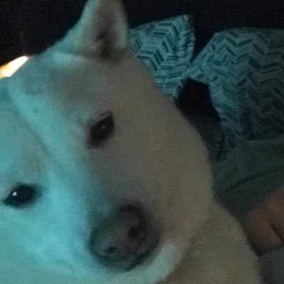 Profile Picture of James Hinrichs (@_hinrichs_) on Twitter