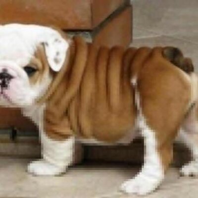 Profile Picture of Cheryl Manuel (@@cherylmanuel57) on Twitter