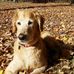 Profile Picture of Michael Trembley (@michael.trembley.73932) on Facebook