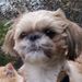 Profile Picture of Doranda Chase (@dorandachase) on Pinterest