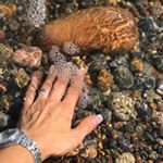 Profile Picture of Carmen Cebrian (@carmenfcebrian) on Instagram