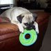 Profile Picture of Carolyn Bush (@carolyn.bush.946) on Facebook