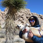 Profile Picture of Bryan McGrory (@reardon__) on Instagram