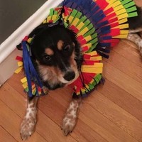 Profile Picture of Luis Alatorre (@luis-alatorre-9) on Quora