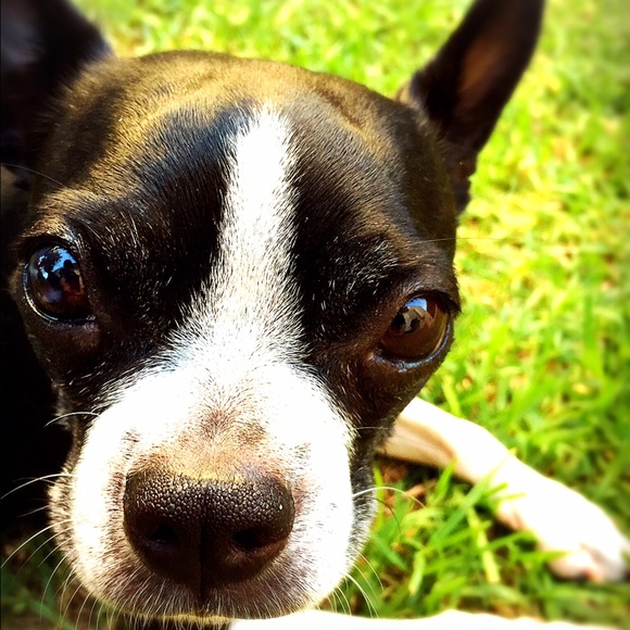 Koko Fukami - Poshmark Profile Picture of Koko Fukami (@cocococo7) on Poshmark