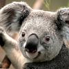 Profile Picture of Kyle Gillum295 (@kylegillum295) on Tiktok