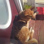 Profile Picture of Mark Moore (@mark_moore35) on Instagram