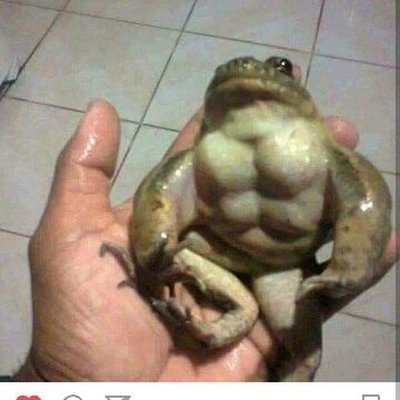 Profile Picture of Noka (@SimpForMozzie) on Twitter