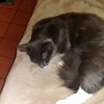 Profile Picture of David Vedder (@david.vedder.520) on Instagram
