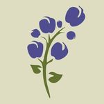 Profile Picture of Dr. Olson & Dr. Walker (@eastridgedentalcare) on Instagram