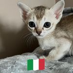 RoseAnna Bonadio - Instagram Profile Picture of RoseAnna Bonadio (@bonadioroseanna) on Instagram