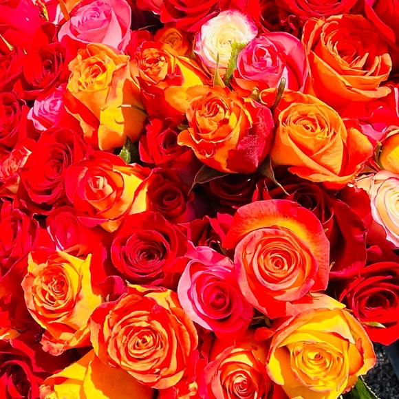 Profile Picture of Dilara (@dilarabc93) on Poshmark