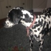 Profile Picture of Lucy Osborne (@@lucy_osbornex) on Tiktok