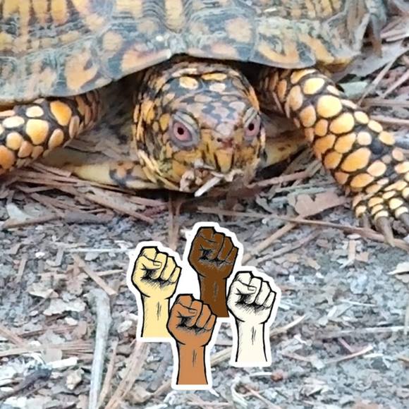 Profile Picture of Joe Scholar (@joescholar) on Poshmark