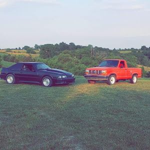 Profile Picture of Bonnie Reid (@bonnie.reid0) on Tiktok