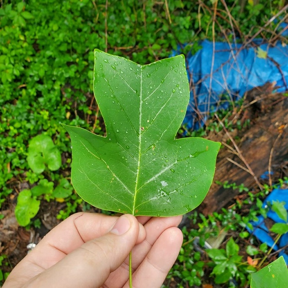 Profile Picture of Jesse Anderson (@jesseovx) on Poshmark