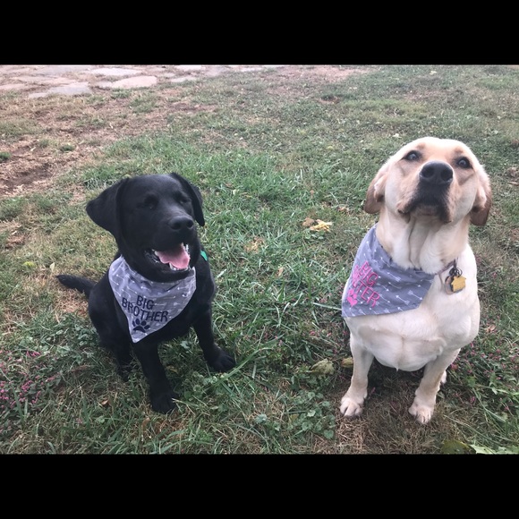 Profile Picture of Hailey Thornton (@hnt002) on Poshmark