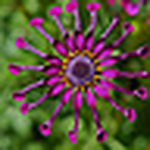 Profile Picture of Todd Seefeldt (@tseefeldt) on Flickr