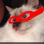 Profile Picture of Deborah Simmonds (@debbie_swiggityswag) on Instagram