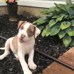 Steven Gorski - Facebook Profile Picture of Steven Gorski (@steven.gorski.50) on Facebook