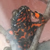 Profile Picture of Ryan Sublett (@ryan-sublett-4) on Quora