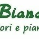 Profile Picture of Bianchi Fiori (@bianchi_fiori) on Instagram