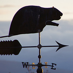 Profile Picture of Champlain College (@Champlain College | Burlington, VT) on Flickr