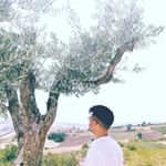 Profile Picture of Daniel Parente (@daniel_parente_10) on Instagram