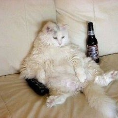 Patrick Hennessy - Myspace Profile Picture of Patrick Hennessy (@373510403) on Myspace