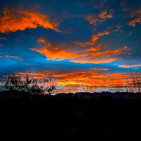 Profile Picture of Jeanie Chapman (@jeaniechapman) on Pinterest