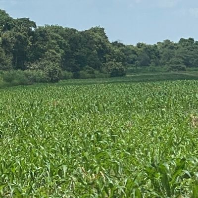 Profile Picture of Vzlaagricola (@VzlaAgricola) on Twitter