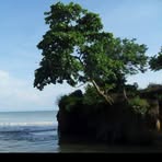 Profile Picture of Crak Casa (@crak.casa) on Facebook